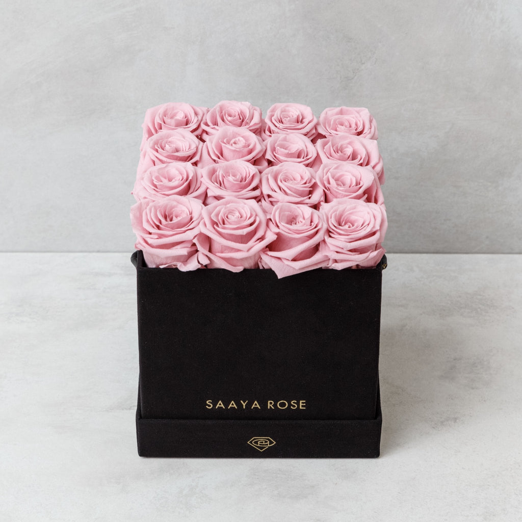 16 Rose Box - Aashi Beauty