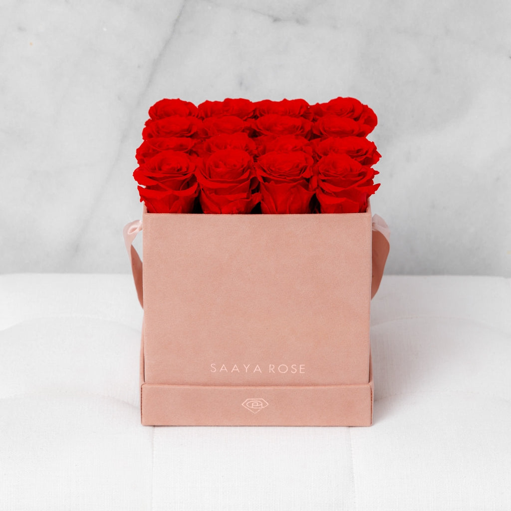 16 Rose Box - Aashi Beauty