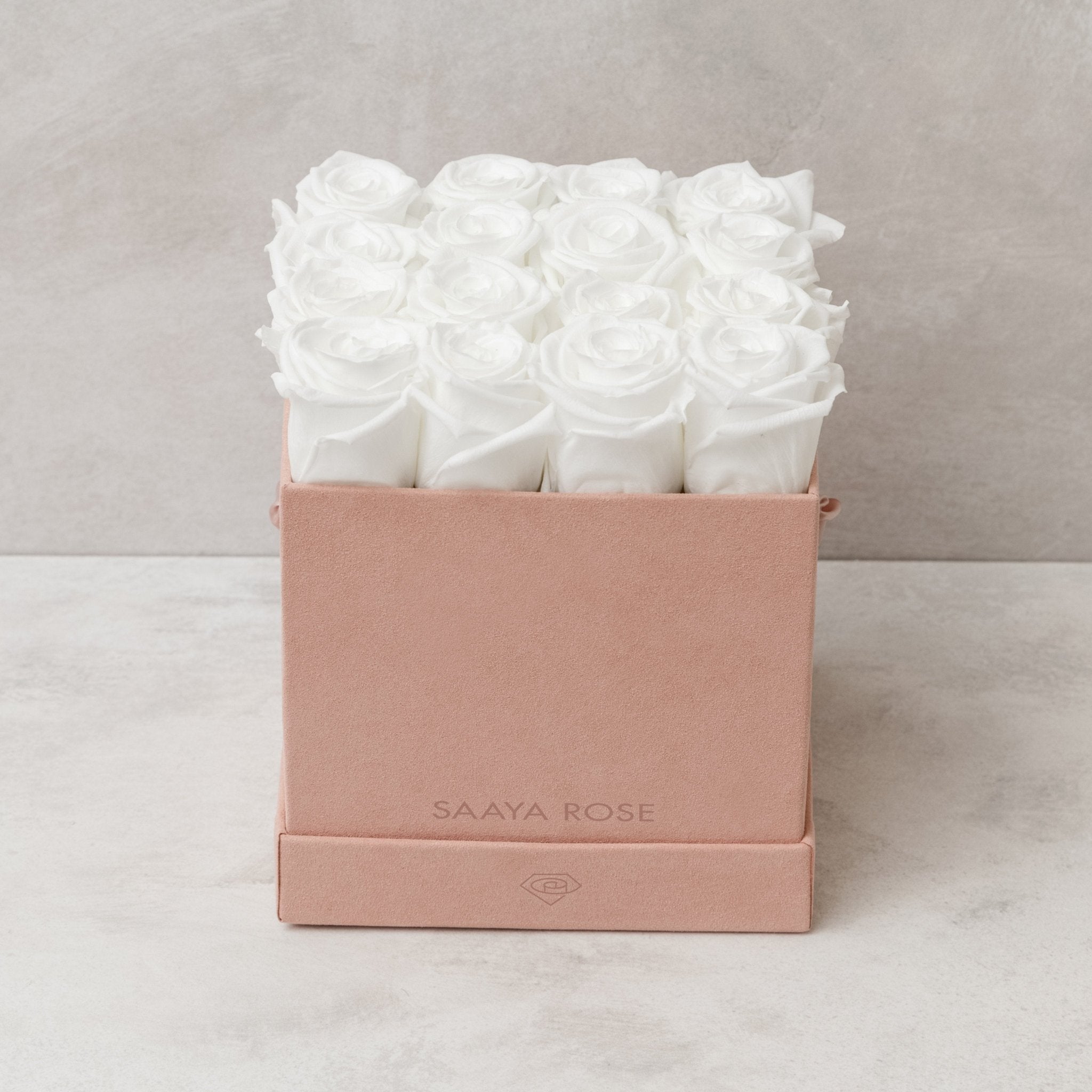 16 Rose Box - Aashi Beauty