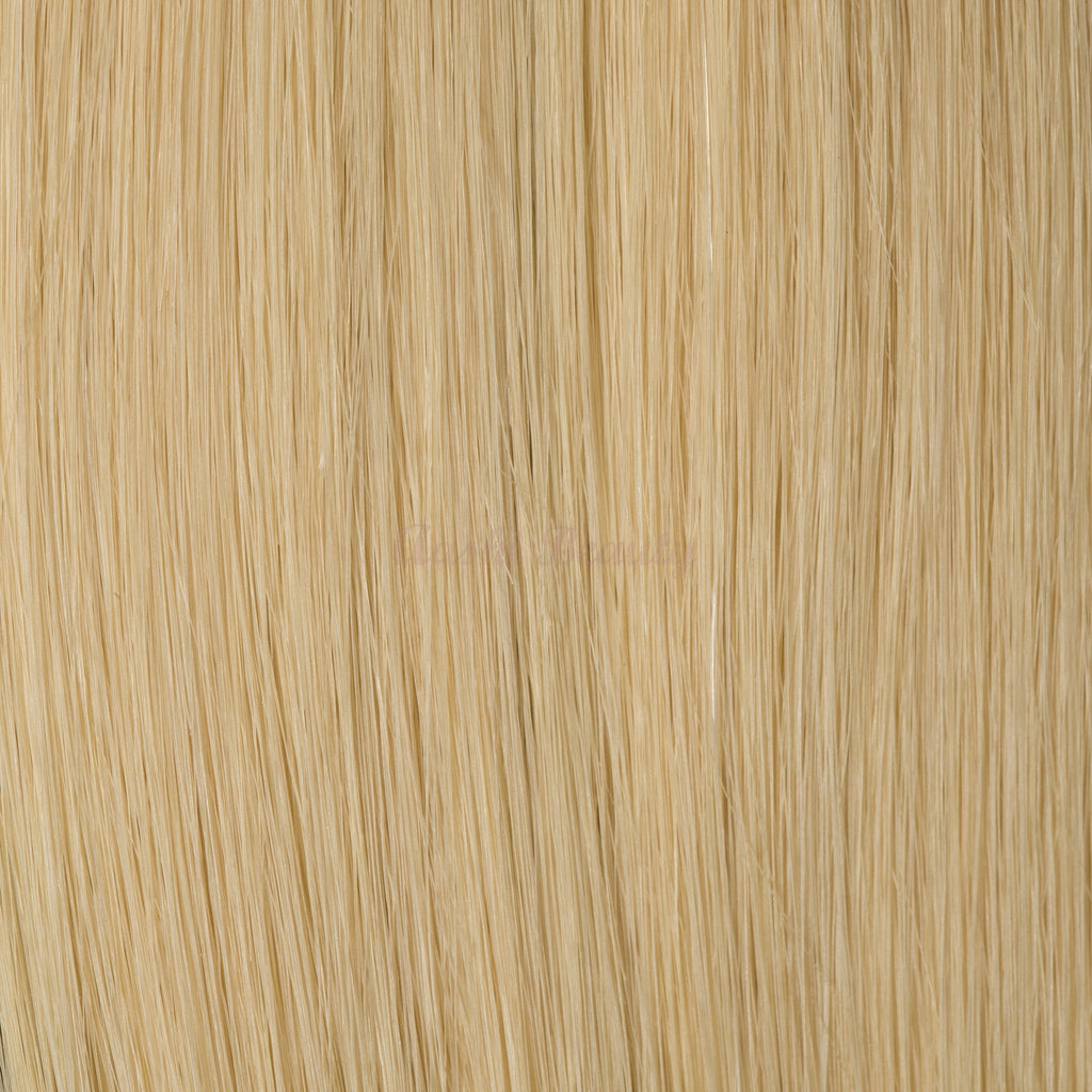 Ash Blonde (#60) Tape-In (Double Drawn THICK) - Aashi Beauty