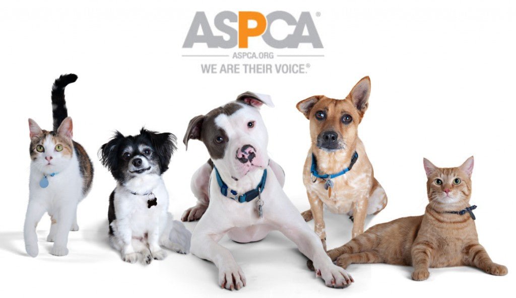 Aspca organization shop