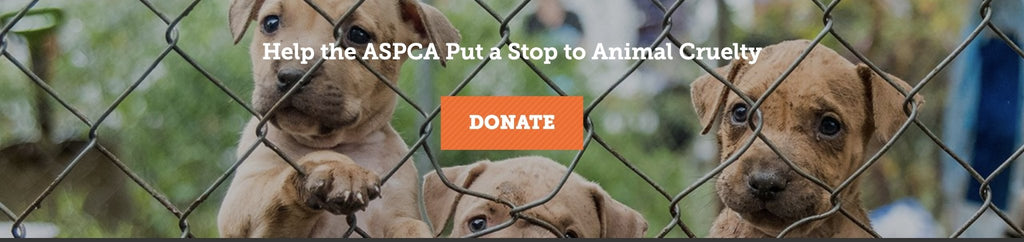 Donate to the ASPCA Foundation - Aashi Beauty