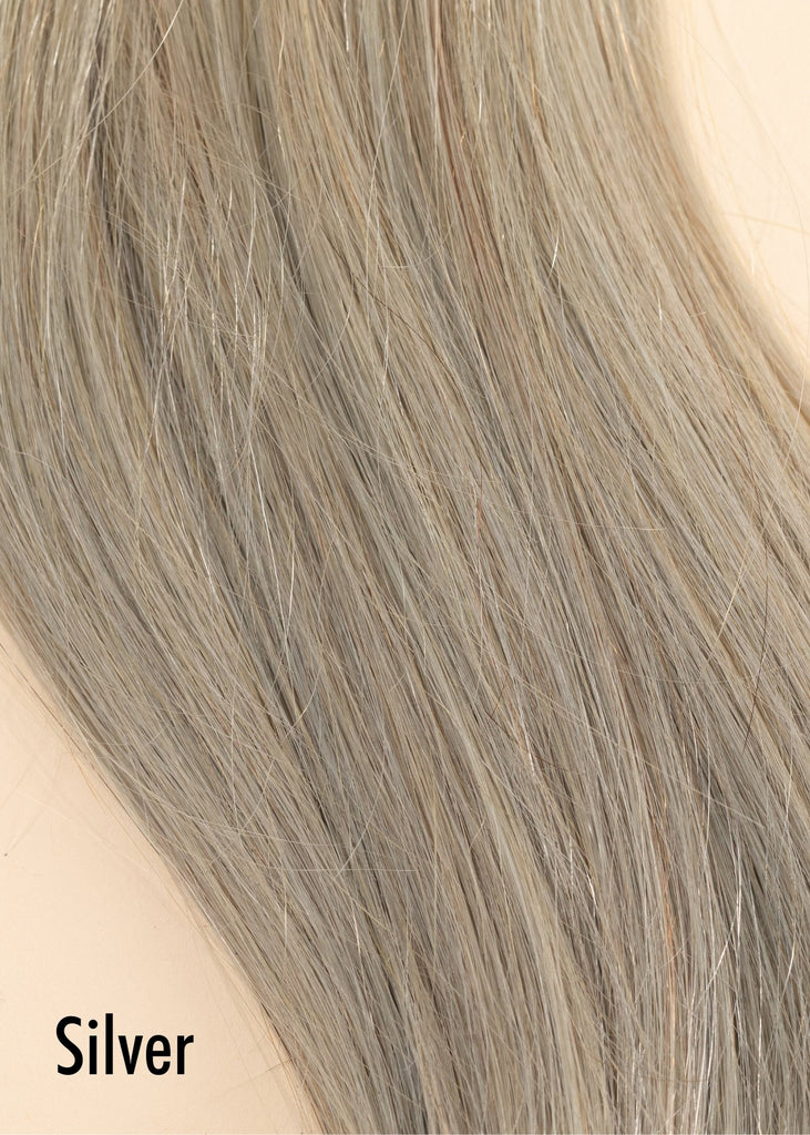Grey Hair Extensions & Silver Hair Extensions (#66) - Aashi Beauty