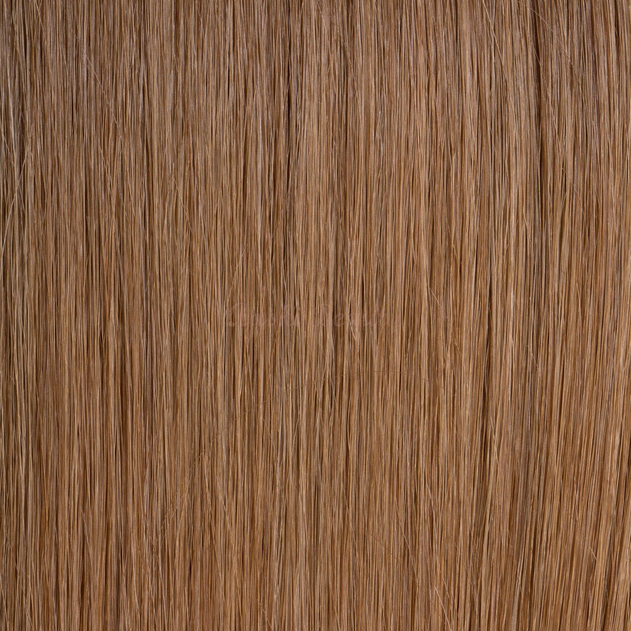 Honey Blonde (#12) Tape-In (Double Drawn Thick) - Aashi Beauty