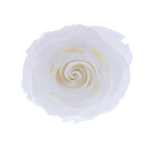 Round Rose Box (medium) - Aashi Beauty