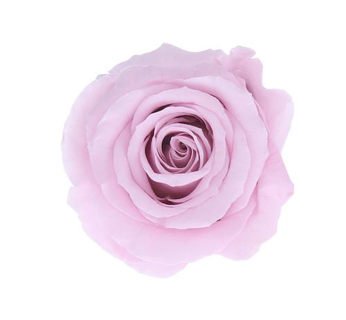 Round Rose Box (medium) - Aashi Beauty