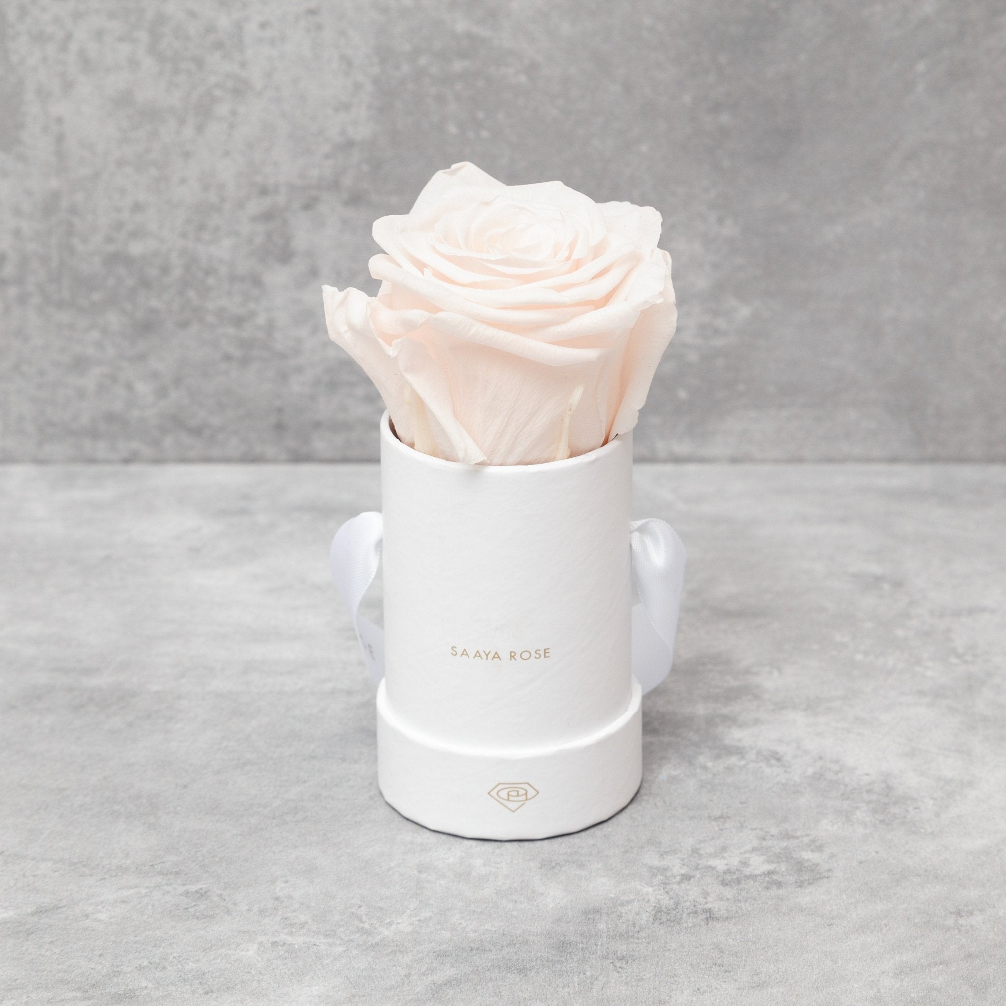 Single Rose Box - Aashi Beauty