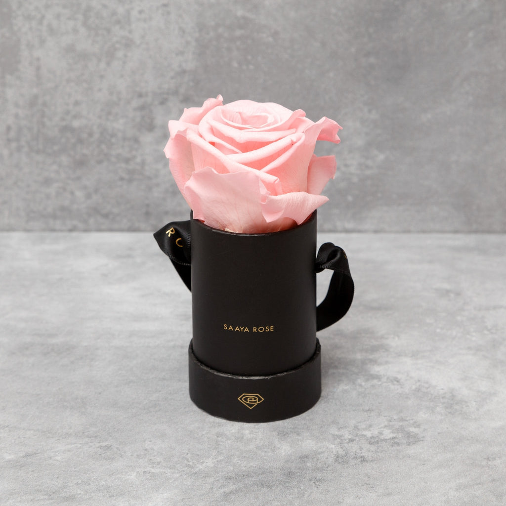 Single Rose Box - Aashi Beauty