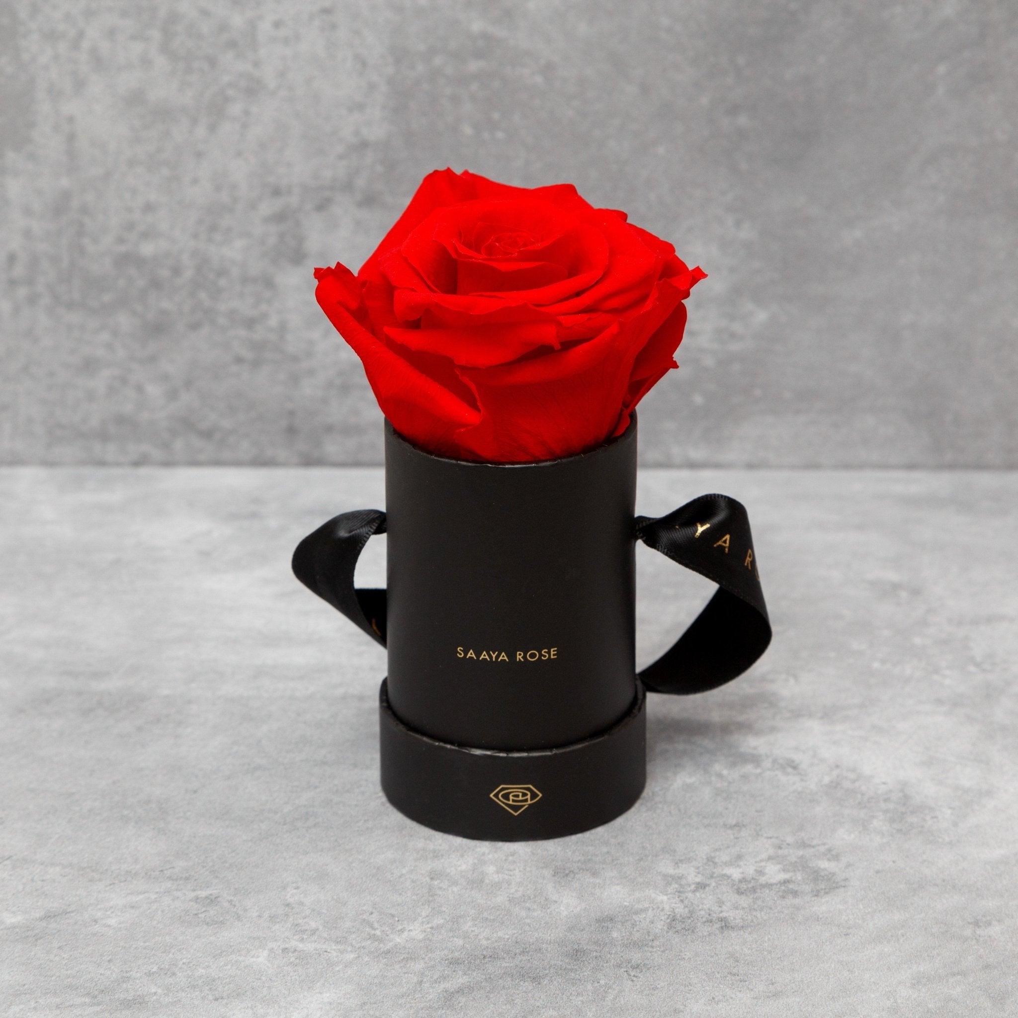 Single Rose Box - Aashi Beauty