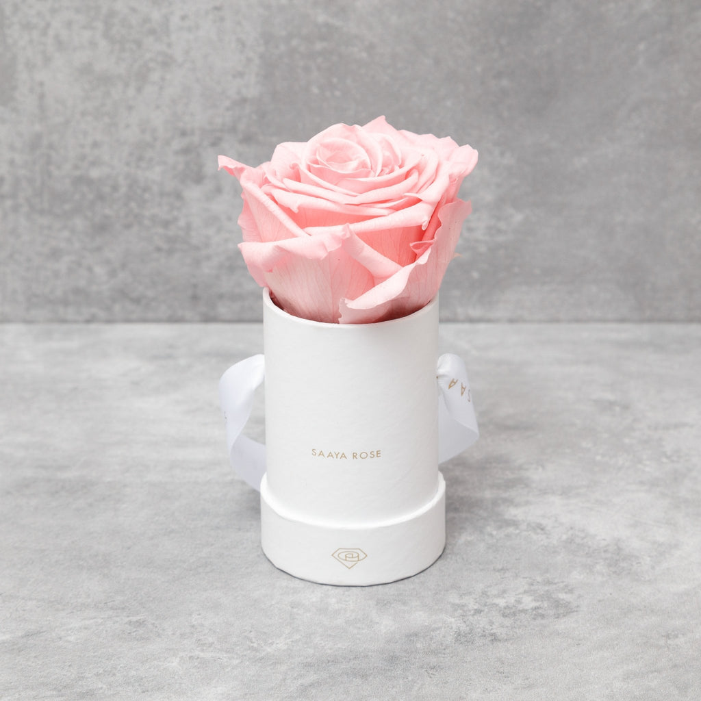 Single Rose Box - Aashi Beauty